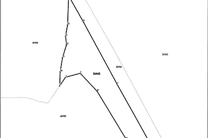 Teren 1.500 mp la coada Lacului Paltinu, Valea Doftanei, vis-a-vis de ATRA Doftana - miniatură 6
