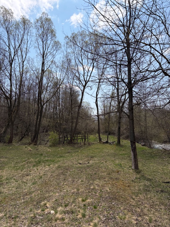 Teren intravilan Valea Doftanei, Negras - parcele de la 500 mp din 15.300 mp - foto 3